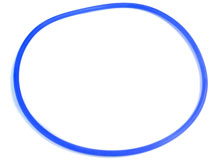 NorthStar Hayward Pump Pressure Test O-Ring GMX600F