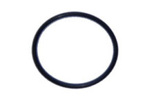 Pentair FNS Plus Filter Bulkhead O-Ring 86006900