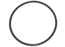 Aqua-Flo Dominator Pump Seal Plate O-Ring 92200180 O-240