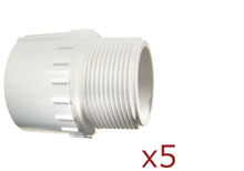 Dura 1.25 in. Male Adapter Mipt 5 pack 436-012x5