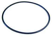 sta-rite dynaglass pump lid o-ring