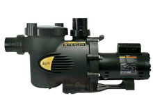 Jandy Stealth Energy Efficient Pump 1.0HP 2-Speed SHPF1.0-2