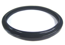 Large Light Jandy Gasket R0451101