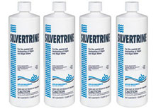 Silvertrine Algeacide LeisureTime 32 oz. 403303 4 Pack