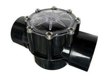 Pentair Check Valve 2 inch 263042