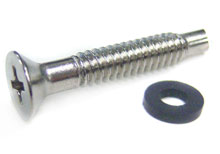 Pentair SS Pool Light Pilot Screw 619355