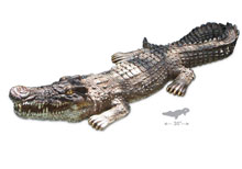 PoolMaster Float Crocodile Body 54575